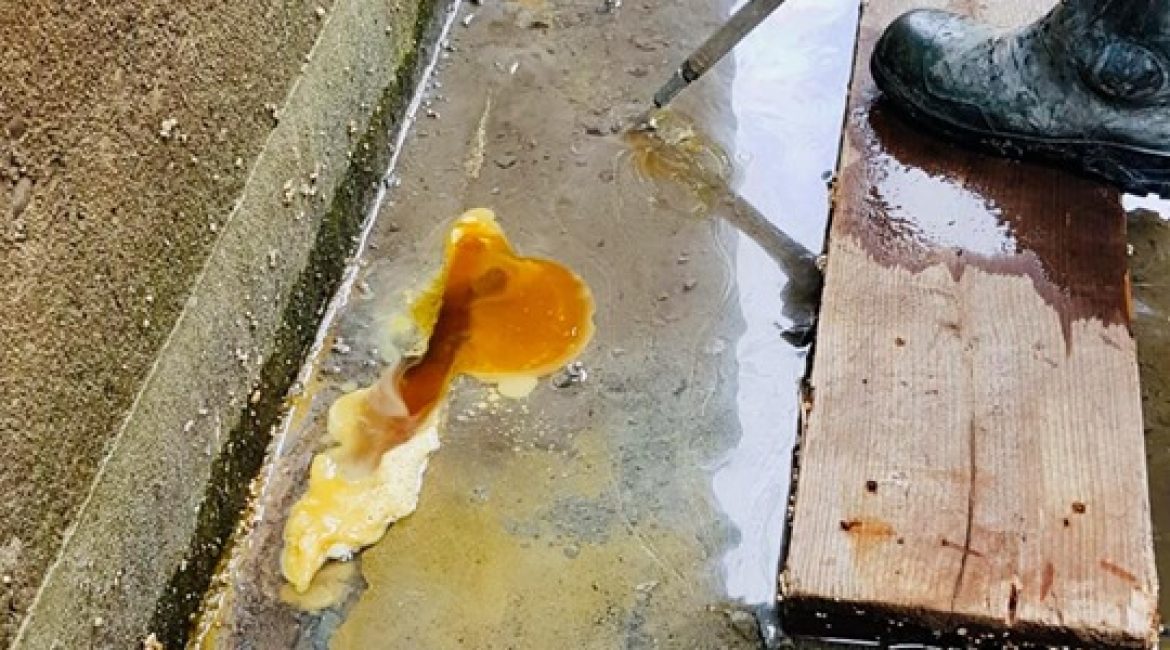 BAU Special Solutions executa trabalho em barragens